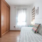 La Minilla Las Palmas / Gran Canaria
